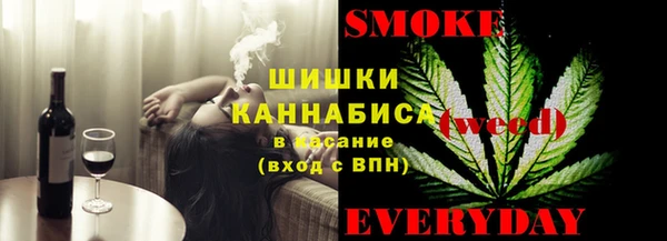 стаф Осинники
