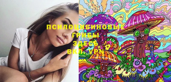 хмурый Лиски