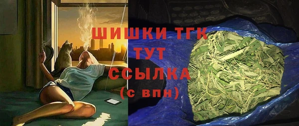 твердый Магас