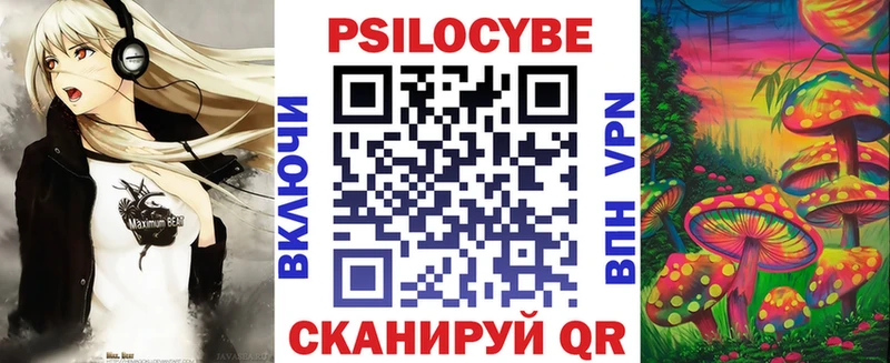 дарк нет наркотические препараты  Томари  Псилоцибиновые грибы MAGIC MUSHROOMS  как найти  