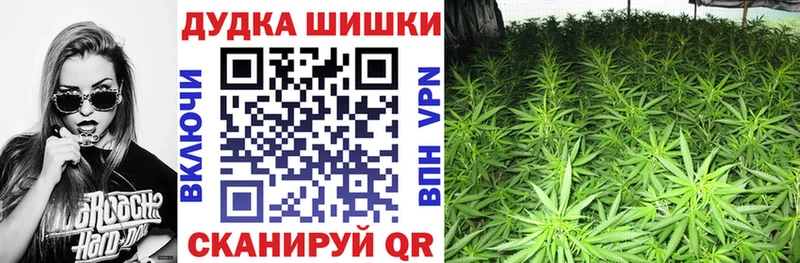 магазин продажи наркотиков  гидра как зайти  Бошки марихуана SATIVA & INDICA  Томари 